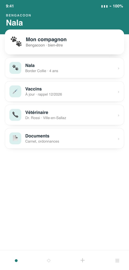 Bengacoon — aperçu de l'application