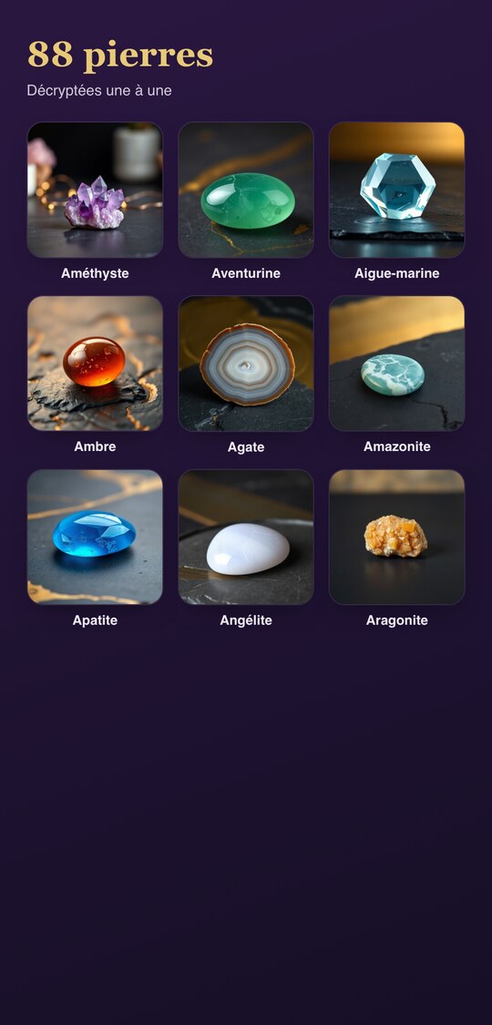 Lithocoon — aperçu de l'application